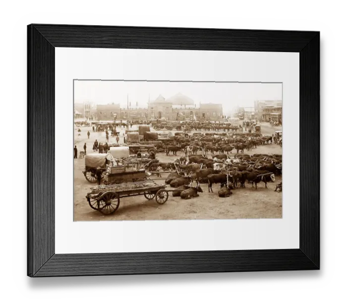 Framed Print : Africa Johannesburg Market Square pre-1900 Framed Print : Africa Johannesburg Market Square pre-1900