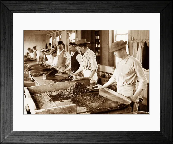 Framed Print : South Africa Kimberley De Beers Diamond Mine searching Framed Print : South Africa Kimberley De Beers Diamond Mine searching