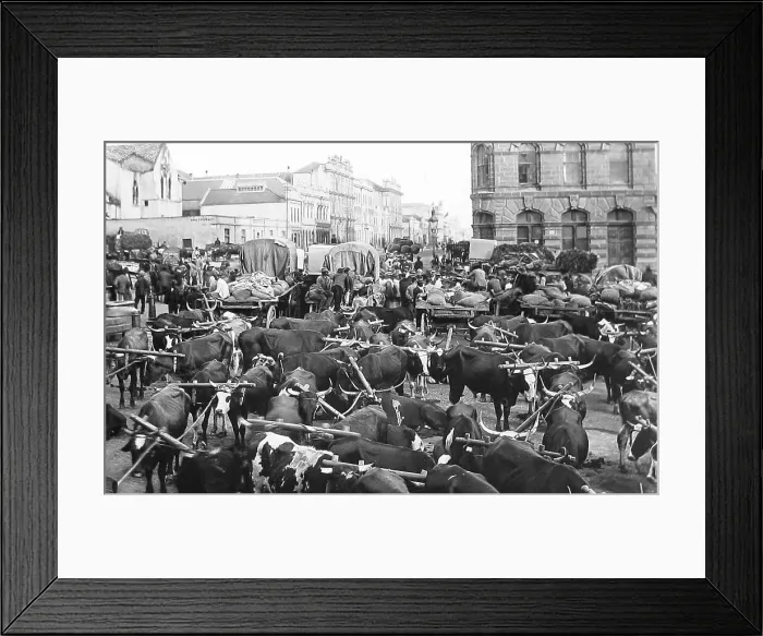 Framed Print : South Africa Port Elizabeth pre-1900 Framed Print : South Africa Port Elizabeth pre-1900