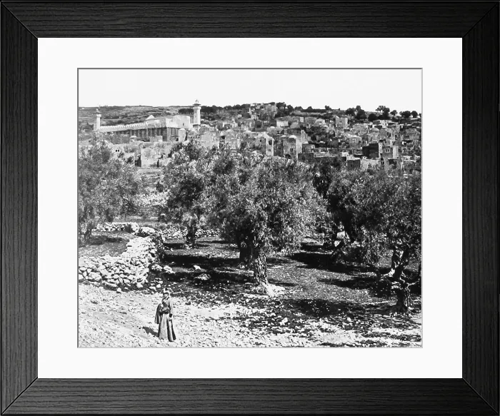 Framed Print : Palestine Hebron pre-1900 Framed Print : Palestine Hebron pre-1900
