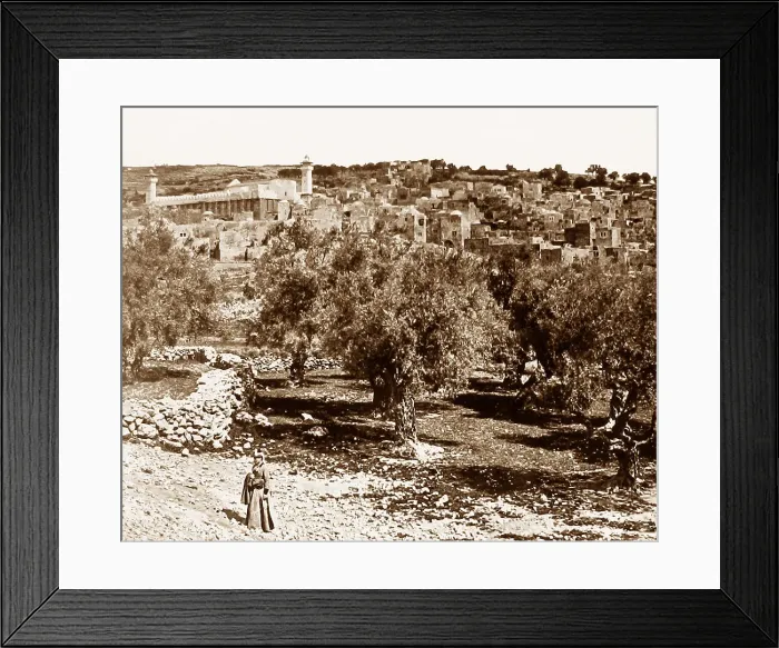 Framed Print : Hebron, Palestine Framed Print : Hebron, Palestine