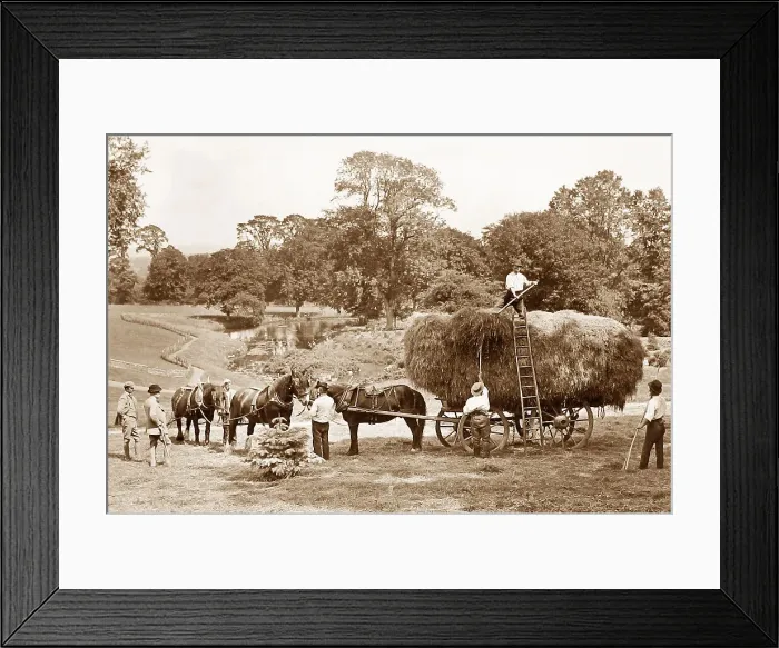 Framed Print : Haymaking Framed Print : Haymaking