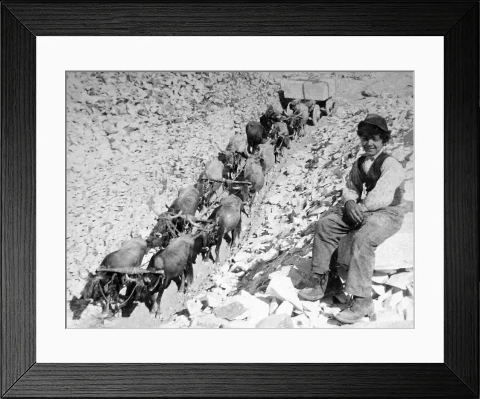 Framed Print : Italy Carrara Marble Quarry pre-1900 Framed Print : Italy Carrara Marble Quarry pre-1900