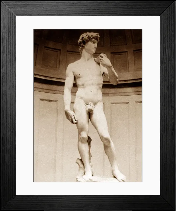 Framed Print : David statue by Michael Angelo, Italy Framed Print : David statue by Michael Angelo, Italy