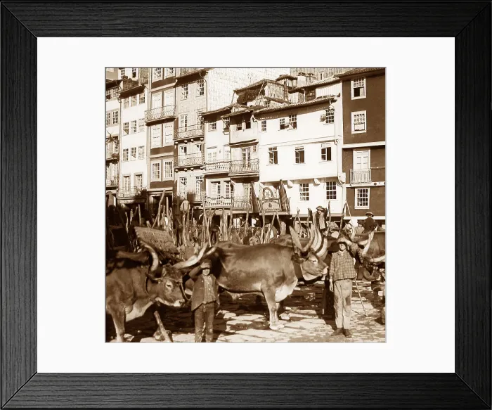 Framed Print : Porto, Portugal Framed Print : Porto, Portugal