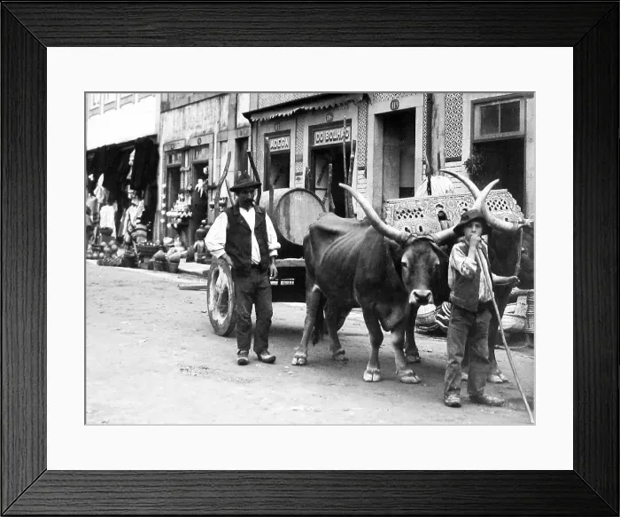 Framed Print : Porto Portugal in 1906 Framed Print : Porto Portugal in 1906