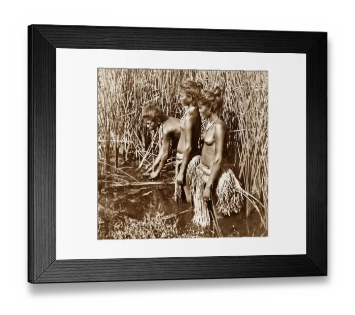 Framed Print : India Travancore Pariah Girls Victorian period Framed Print : India Travancore Pariah Girls Victorian period