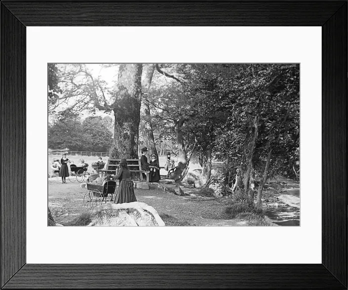 Framed Print : Riverside Park, Tavistock Framed Print : Riverside Park, Tavistock