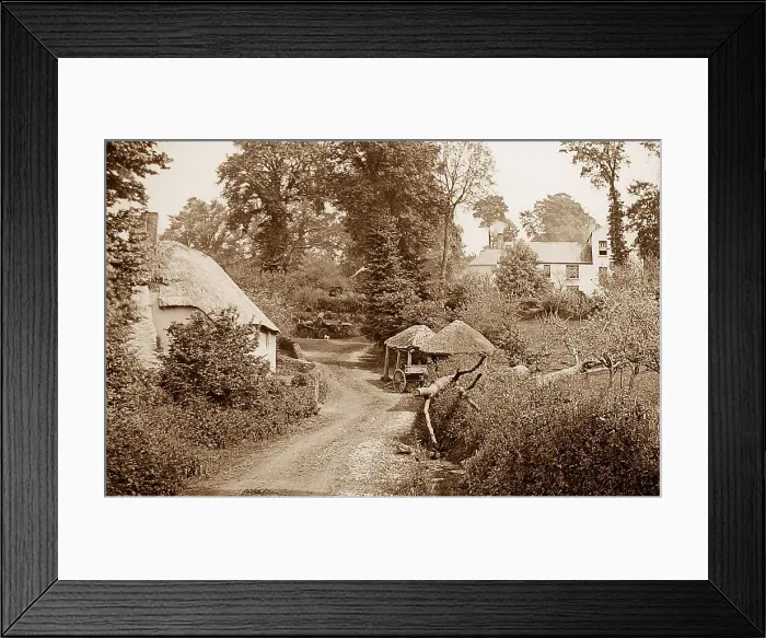 Framed Print : High Gabwell, Stokeinteignhead Framed Print : High Gabwell, Stokeinteignhead