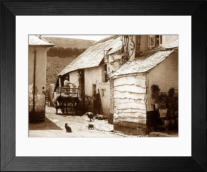 Framed Print : Combeinteignhead Framed Print : Combeinteignhead