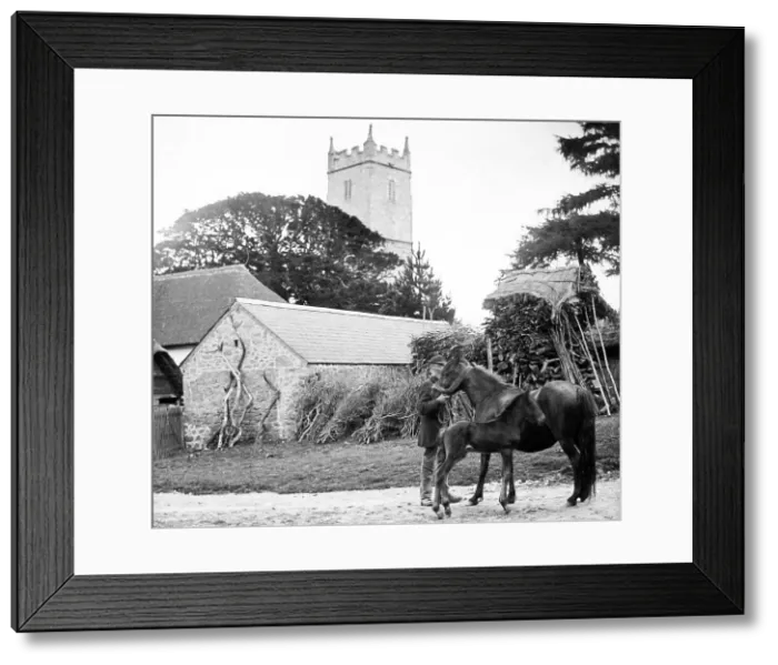 Framed Print : Drewsteignton Victorian period Framed Print : Drewsteignton Victorian period