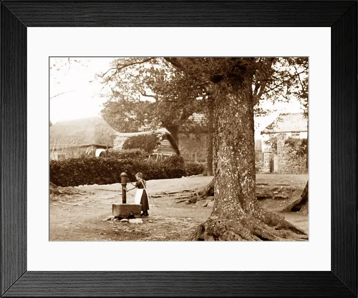 Framed Print : Manaton Framed Print : Manaton