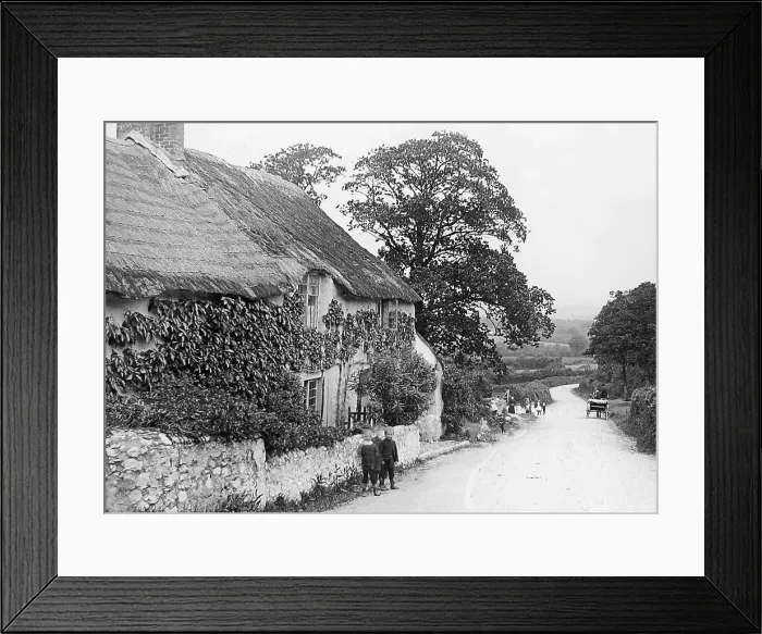 Framed Print : Blackpool, Devon Framed Print : Blackpool, Devon