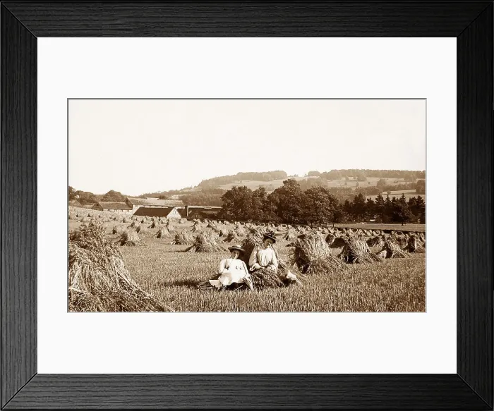 Framed Print : Box Hill, Dorking Framed Print : Box Hill, Dorking