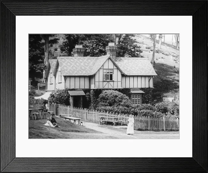Framed Print : Mount Edgcumbe Park - Beechwood cottage - early 1900s Framed Print : Mount Edgcumbe Park - Beechwood cottage - early 1900s