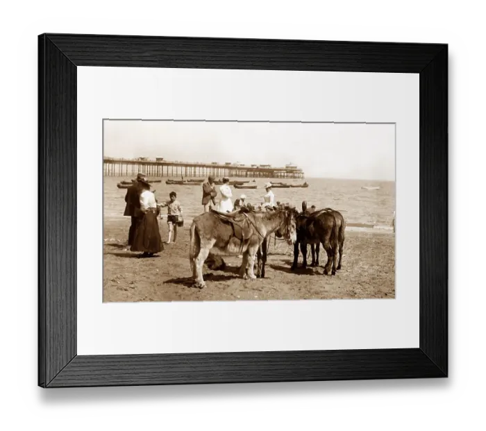 Framed Print : Llandudno beach donkeys Victorian period Framed Print : Llandudno beach donkeys Victorian period