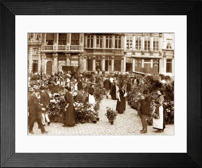 Framed Print : Brussels Flower Market, Belgium Framed Print : Brussels Flower Market, Belgium