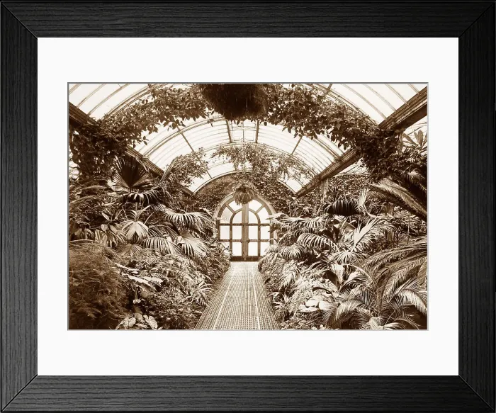 Framed Print : Welbeck Abbey Palm House Framed Print : Welbeck Abbey Palm House