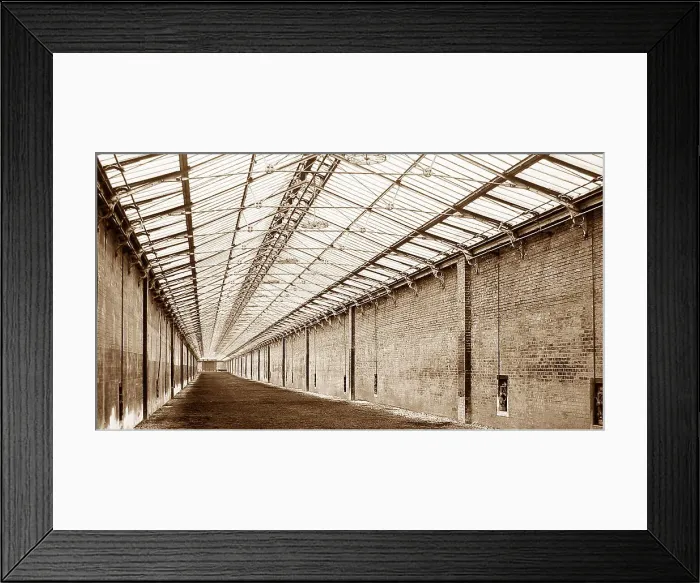 Framed Print : Welbeck Abbey Tan Gallop Framed Print : Welbeck Abbey Tan Gallop