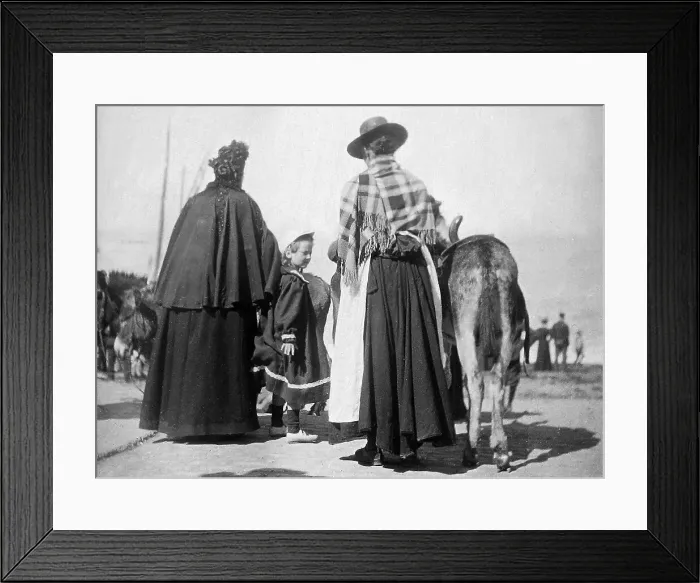 Framed Print : Donkeys on the beach, Aberystwyth, Wales Framed Print : Donkeys on the beach, Aberystwyth, Wales