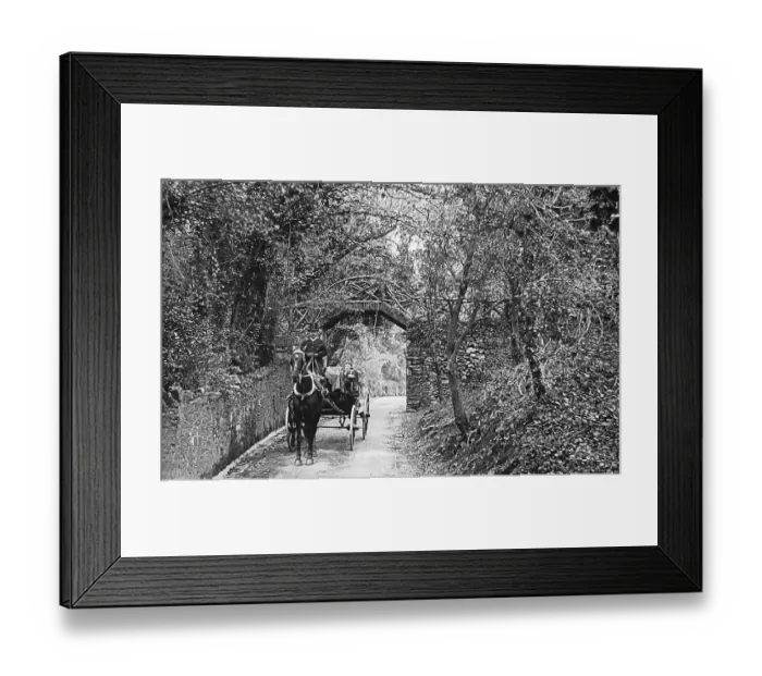 Framed Print : A Devon country lane Victorian period Framed Print : A Devon country lane Victorian period