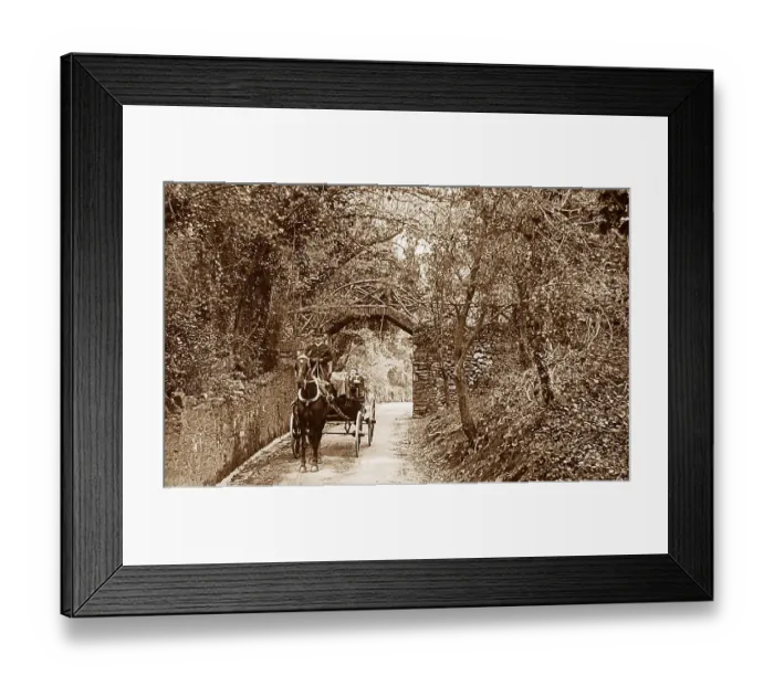 Framed Print : Devon country lane Framed Print : Devon country lane