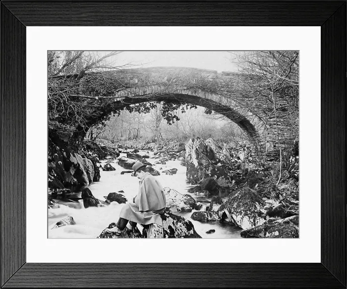 Framed Print : River Lledr Bridge Framed Print : River Lledr Bridge