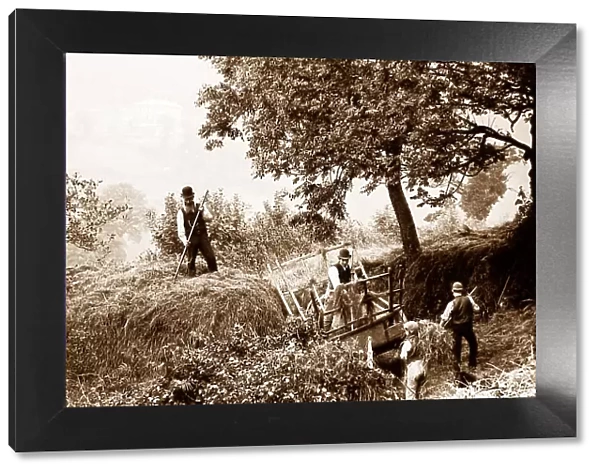 Branscombe haymaking probably taken in 1888