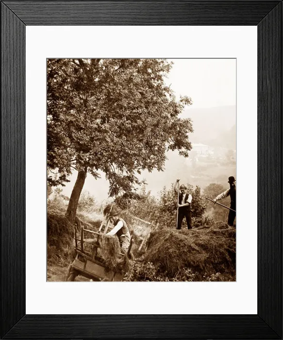Framed Print : Branscombe probably taken in 1888 Framed Print : Branscombe probably taken in 1888