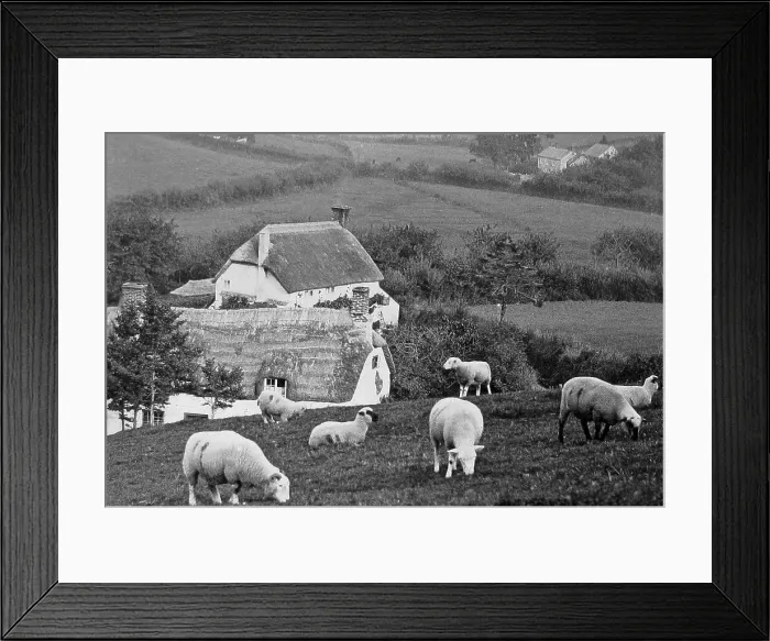 Framed Print : Branscombe probably taken in 1888 Framed Print : Branscombe probably taken in 1888