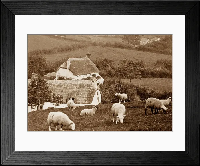 Framed Print : Branscombe, Devon Framed Print : Branscombe, Devon