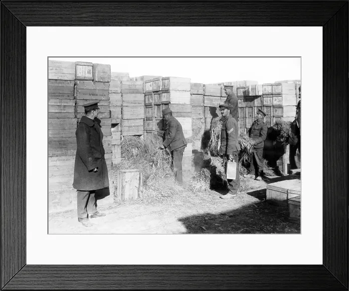 Framed Print : WW1 Gallipoli British soldiers preparing to evacuate Framed Print : WW1 Gallipoli British soldiers preparing to evacuate