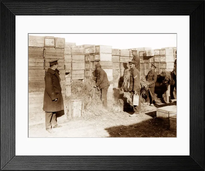 Framed Print : Preparing to evacuate Gallipoli during WW1 Framed Print : Preparing to evacuate Gallipoli during WW1
