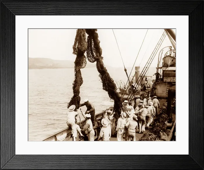 Framed Print : WW1 Gallipoli British sailors deploying submarine nets Framed Print : WW1 Gallipoli British sailors deploying submarine nets