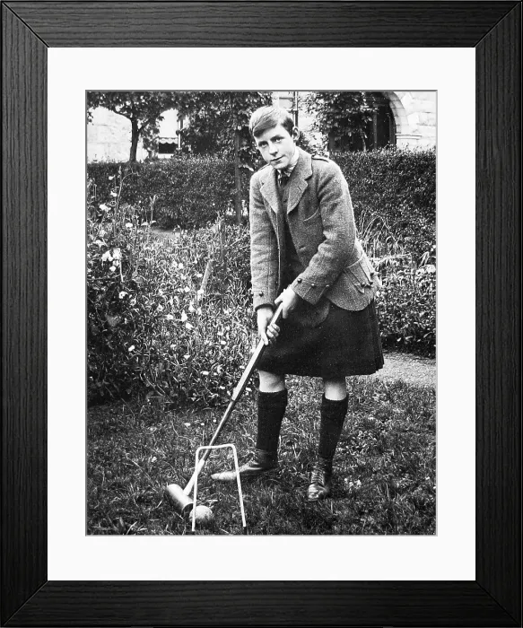 Framed Print : Prince of Wales Framed Print : Prince of Wales
