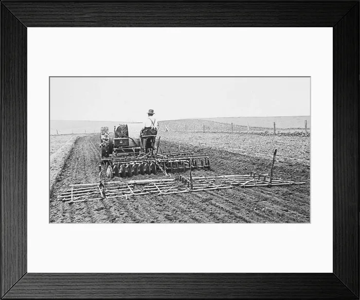 Framed Print : Using a harrow South Dakota USA early 1900s Framed Print : Using a harrow South Dakota USA early 1900s