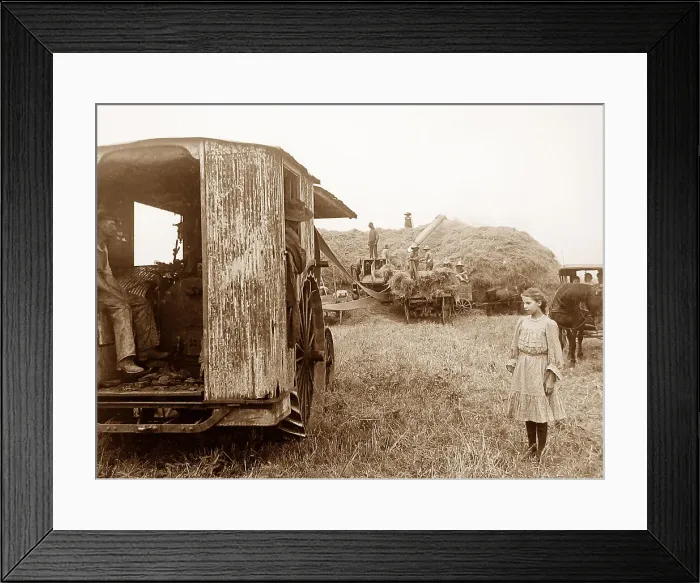 Framed Print : Threshing oats Illinois USA early 1900s Framed Print : Threshing oats Illinois USA early 1900s
