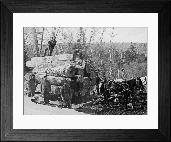 Framed Print : Hauling logs Kettle River Landing Minnesota USA early 1900s