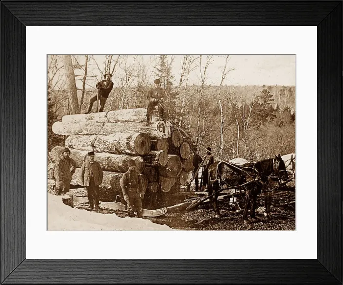 Framed Print : Hauling logs Kettle River Landing Minnesota USA early 1900s Framed Print : Hauling logs Kettle River Landing Minnesota USA early 1900s