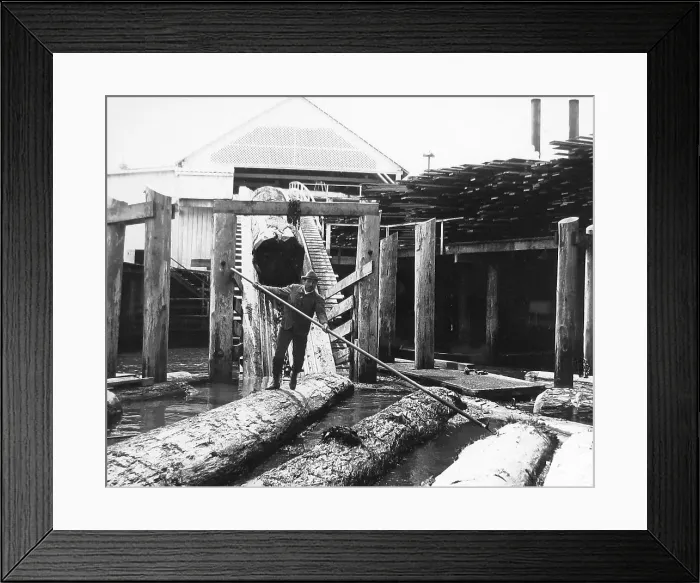Framed Print : Lumber Mill Washington USA early 1900s Framed Print : Lumber Mill Washington USA early 1900s