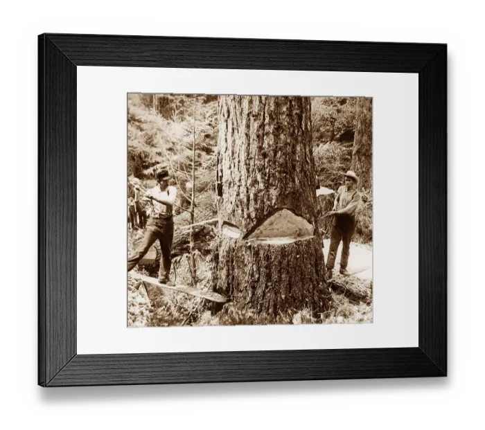 Framed Print : Lumberjacks Washington State USA early 1900s Framed Print : Lumberjacks Washington State USA early 1900s