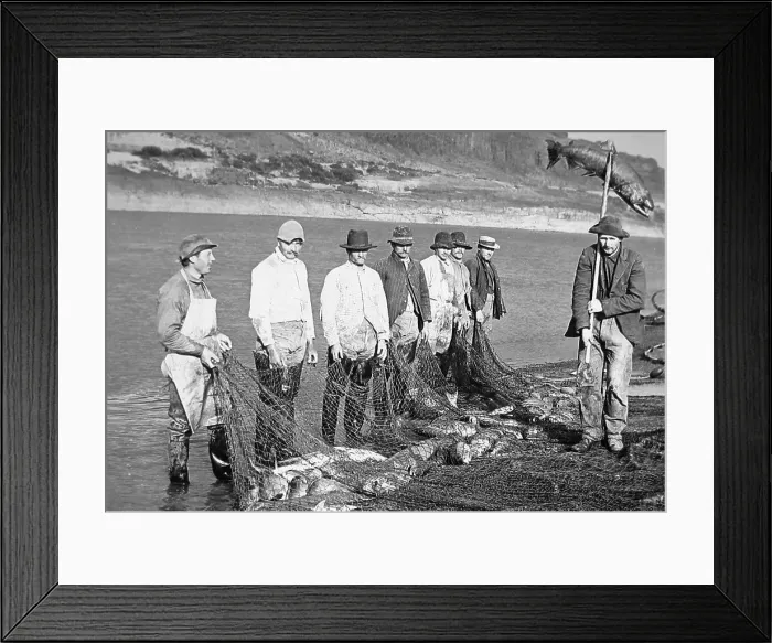 Framed Print : Salmon fishing Columbia River Oregon USA early 1900s