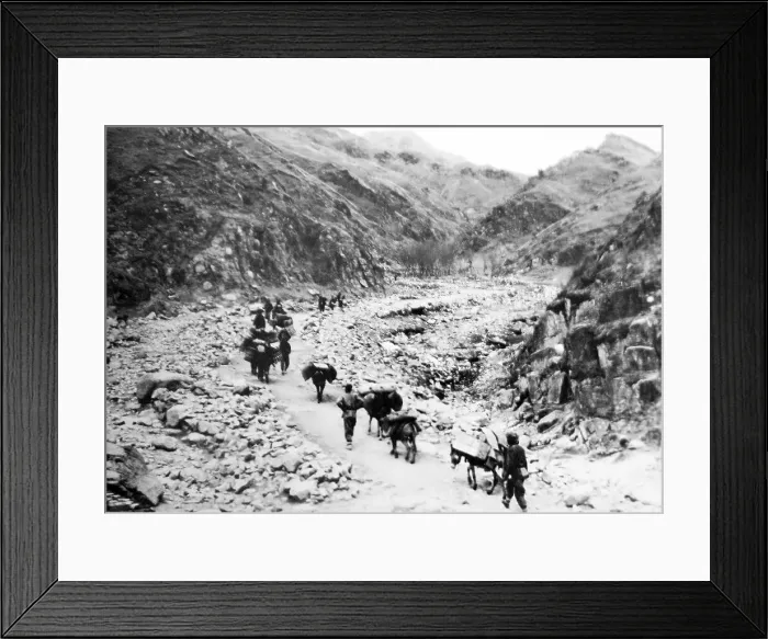 Framed Print : A Caravan, Mongolia Framed Print : A Caravan, Mongolia