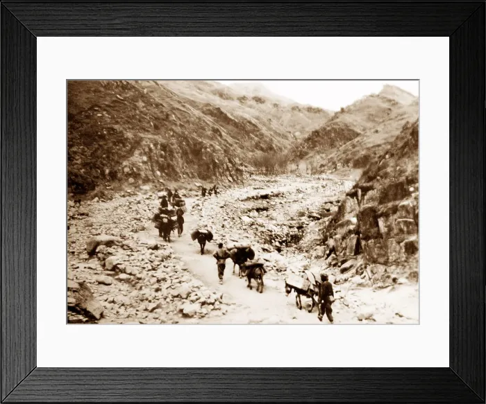 Framed Print : A Mongolian Caravan probably 1920s Framed Print : A Mongolian Caravan probably 1920s