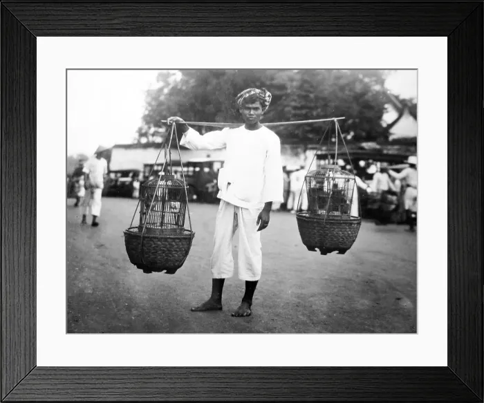 Framed Print : Java Bird seller probably 1920s Framed Print : Java Bird seller probably 1920s