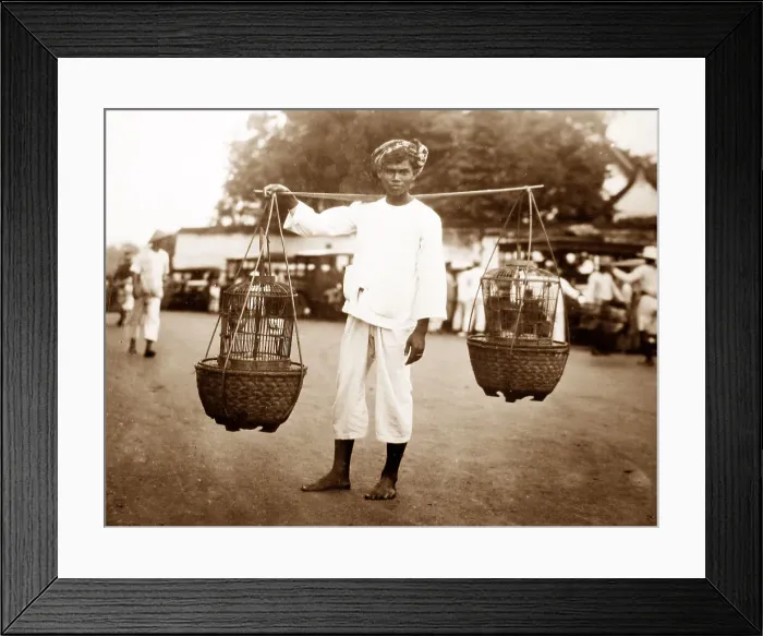 Framed Print : Bird seller, Java Framed Print : Bird seller, Java