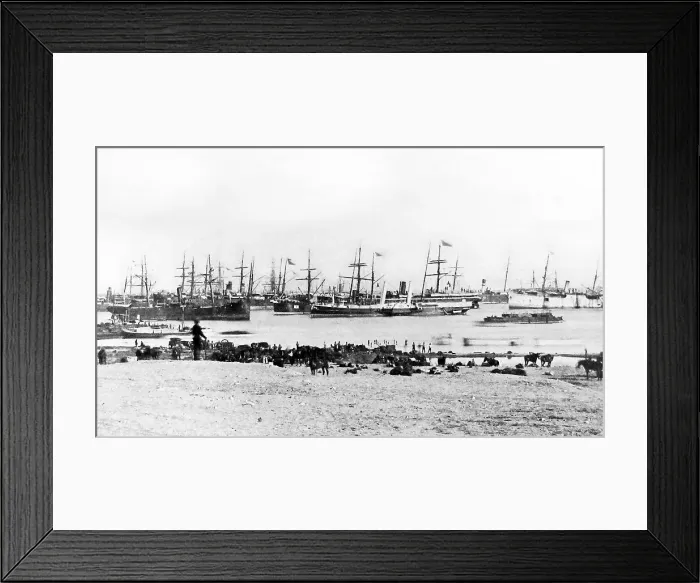 Framed Print : Troops disembarking at Ismailia Egypt during Framed Print : Troops disembarking at Ismailia Egypt during