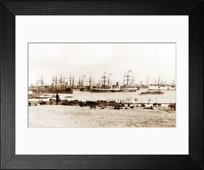 Framed Print : British troops disembarking at Ismailia during Framed Print : British troops disembarking at Ismailia during