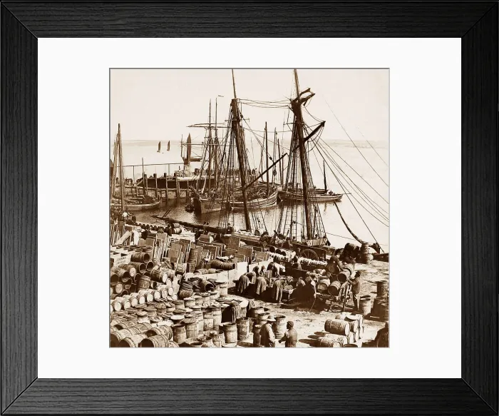 Framed Print : Herring boats, Scrabster, Scotland