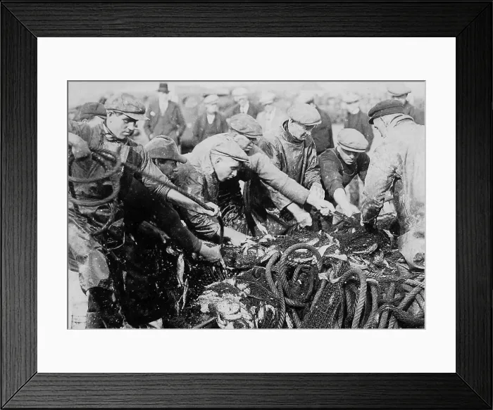 Framed Print : Great Yarmouth herring fishermen early 1900s Framed Print : Great Yarmouth herring fishermen early 1900s
